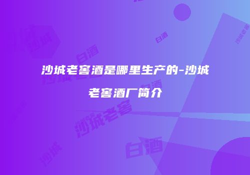 沙城老窖酒是哪里生产的-沙城老窖酒厂简介