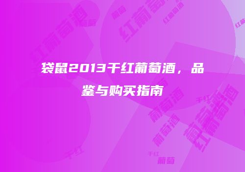 袋鼠2013干红葡萄酒，品鉴与购买指南
