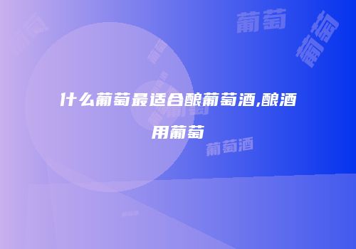 什么葡萄最适合酿葡萄酒,酿酒用葡萄