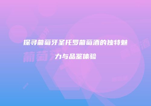 探寻葡萄牙圣托罗葡萄酒的独特魅力与品鉴体验