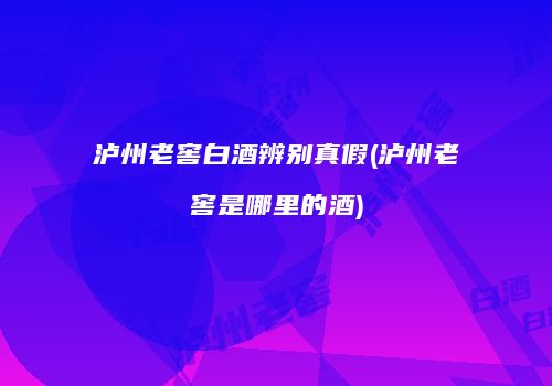 泸州老窖白酒辨别真假(泸州老窖是哪里的酒)