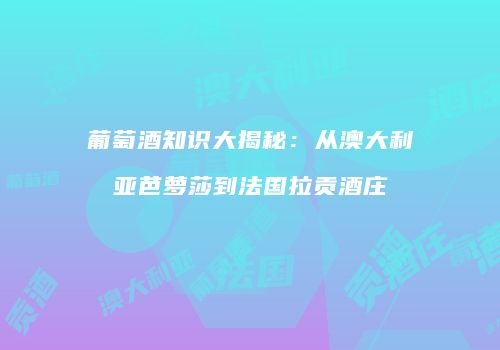 葡萄酒知识大揭秘：从澳大利亚芭萝莎到法国拉贡酒庄