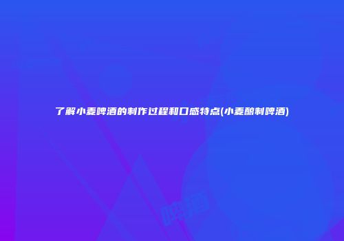 了解小麦啤酒的制作过程和口感特点(小麦酿制啤酒)