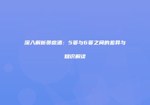深入解析贵腐酒：5篓与6篓之间的差异与知识解读