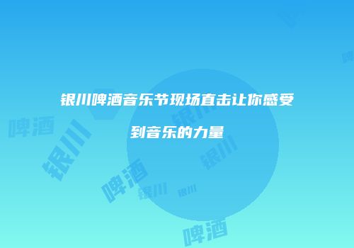 银川啤酒音乐节现场直击让你感受到音乐的力量
