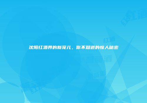 沈阳红酒界的新宠儿，你不知道的惊人秘密