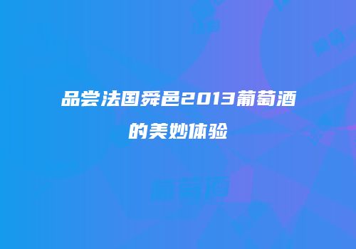 品尝法国舜邑2013葡萄酒的美妙体验
