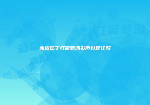 赤霞珠干红葡萄酒发酵过程详解