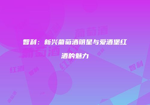智利：新兴葡萄酒明星与爱酒堡红酒的魅力