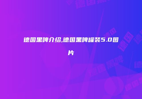 德国黑啤介绍,德国黑啤罐装5.0图片