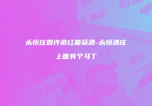 永恒庄园许诺红葡萄酒-永恒酒庄上面有个马丁