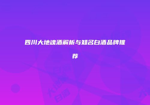 四川大地魂酒解析与知名白酒品牌推荐