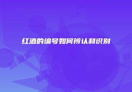 红酒的编号如何辨认和识别