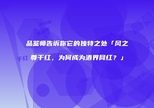 品鉴师告诉你它的独特之处「风之尊干红，为何成为酒界网红？」