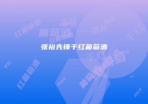 张裕先锋干红葡萄酒