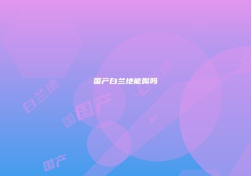 国产白兰地能喝吗