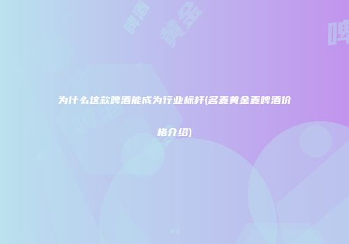 为什么这款啤酒能成为行业标杆(名麦黄金麦啤酒价格介绍)