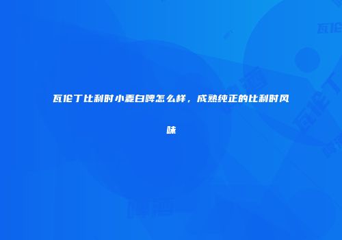瓦伦丁比利时小麦白啤怎么样，成熟纯正的比利时风味