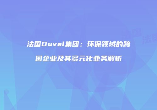 法国Duval集团：环保领域的跨国企业及其多元化业务解析