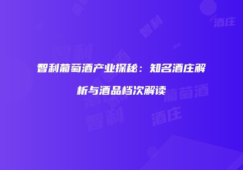 智利葡萄酒产业探秘：知名酒庄解析与酒品档次解读