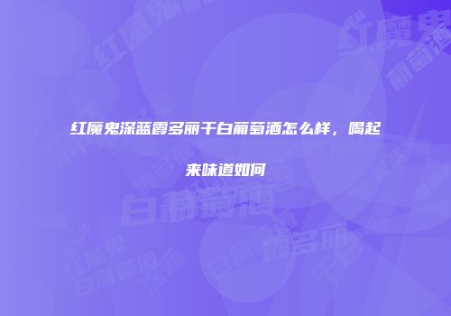 红魔鬼深蓝霞多丽干白葡萄酒怎么样，喝起来味道如何