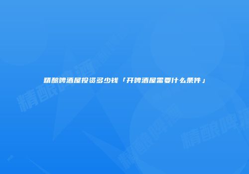 精酿啤酒屋投资多少钱「开啤酒屋需要什么条件」