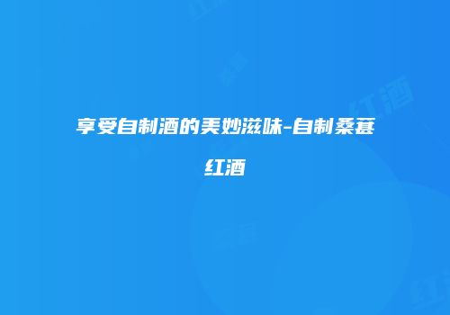 享受自制酒的美妙滋味-自制桑葚红酒