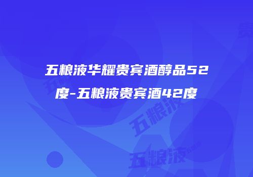 五粮液华耀贵宾酒醇品52度-五粮液贵宾酒42度