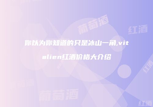 你以为你知道的只是冰山一角,vitalien红酒价格大介绍