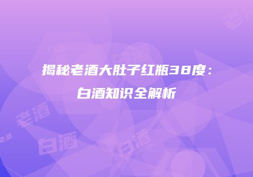 揭秘老酒大肚子红瓶38度：白酒知识全解析