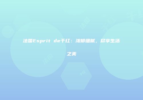 法国Esprit de干红：浓郁细腻，尽享生活之美