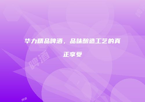 华力精品啤酒，品味酿造工艺的真正享受