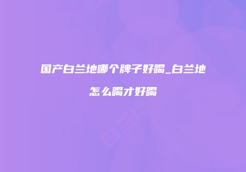 国产白兰地哪个牌子好喝_白兰地怎么喝才好喝