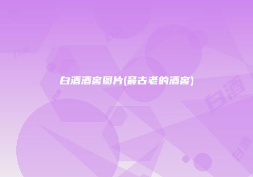 白酒酒窖图片(最古老的酒窖)