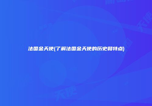 法国金天使(了解法国金天使的历史和特点)