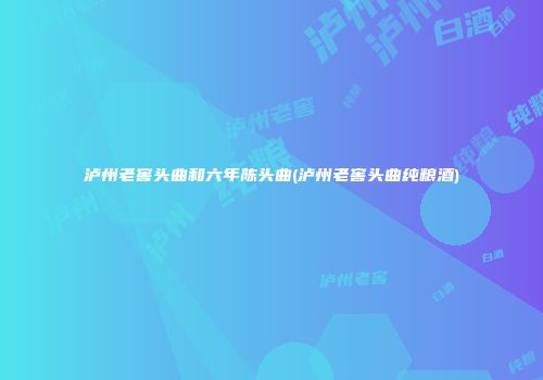 泸州老窖头曲和六年陈头曲(泸州老窖头曲纯粮酒)