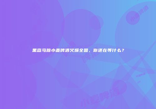 黑森马蹄小麦啤酒火爆全国，你还在等什么？