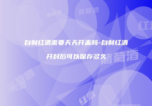 自制红酒需要天天开盖吗-自制红酒开封后可以保存多久