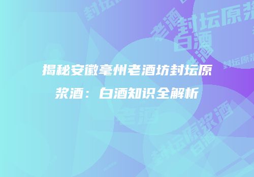 揭秘安徽毫州老酒坊封坛原浆酒：白酒知识全解析