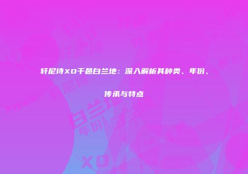 轩尼诗XO干邑白兰地：深入解析其种类、年份、传承与特点