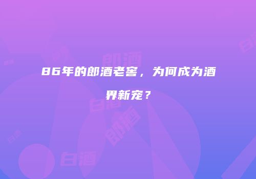 86年的郎酒老窖，为何成为酒界新宠？