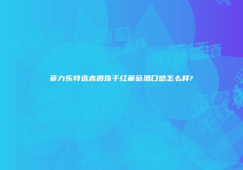 菲力乐特选赤霞珠干红葡萄酒口感怎么样?