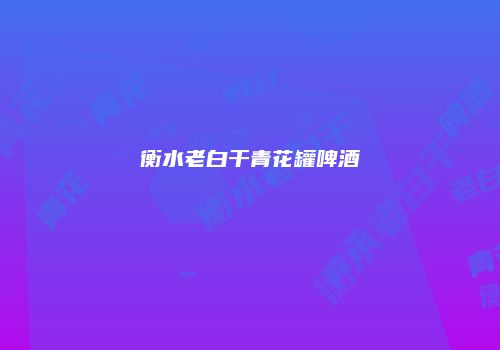 衡水老白干青花罐啤酒
