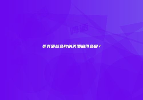都有哪些品牌的啤酒值得品尝？