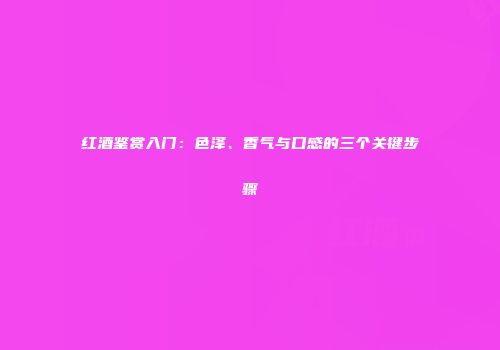 红酒鉴赏入门：色泽、香气与口感的三个关键步骤