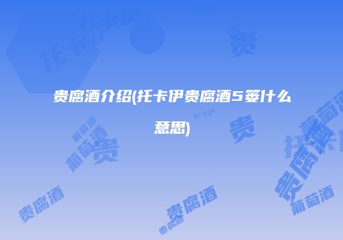 贵腐酒介绍(托卡伊贵腐酒5篓什么意思)