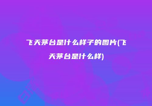 飞天茅台是什么样子的图片(飞天茅台是什么样)