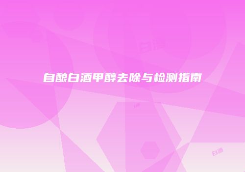 自酿白酒甲醇去除与检测指南