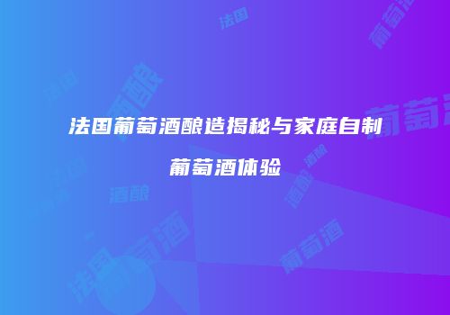 法国葡萄酒酿造揭秘与家庭自制葡萄酒体验