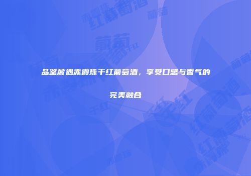 品鉴麓遇赤霞珠干红葡萄酒，享受口感与香气的完美融合